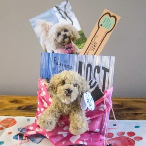 Coco Mia's Adventure Pack