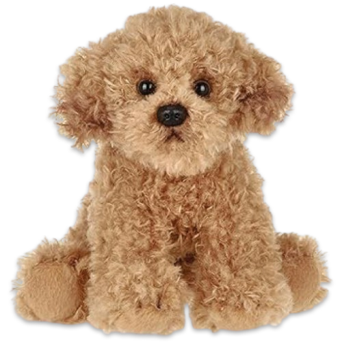 coco-removebg-prev coco-removebg-prev